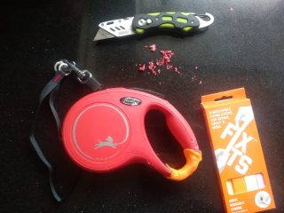 DogLead_FixIt-8b985f30